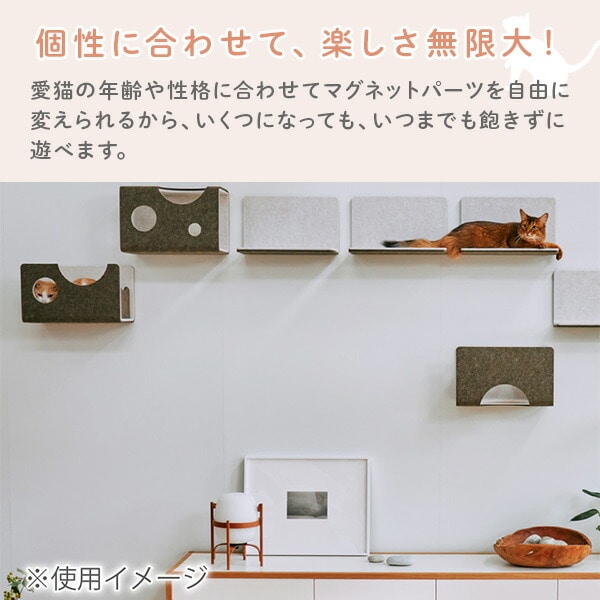 猫壁 ボックス 透明タイプ マグネット式  QNP11MBAA0/QNP21MBAA0/QNP31MBAA0/QNP41MBAA0/QNP51MBAA0 LIXIL